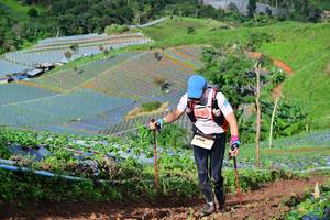 BIB: 237, 
                            <button type="button" onclick="openModal(13381503)" class="btn btn-primary btn-sm float-right btn-popup" data-toggle="modal" data-target=".modal-high-quality">
                        <i class="fas fa-shopping-cart"></i> Add to Cart
                    </button>
                                            <button type="button" onclick="isThisMe(13381503, true)" class="btn btn-success btn-sm float-right btn-popup btn-isme hidden" data-toggle="tooltip" data-placement="bottom" title="นี่คือรูปของคุณใช่ไหม คลิกที่นี่เพื่อเอาเข้าอัลบั้ม">
                        <i class="fas fa-plus"></i> Add to album
                    </button>
                    <button type="button" onclick="isThisMe(13381503, false)" class="btn btn-warning btn-sm float-right btn-popup btn-isnotme hidden">
                        <i class="fas fa-ban"></i> Remove from album
                    </button>